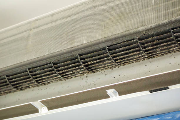 Best Best Air Duct Cleaning Near Me  in Franklin, NC